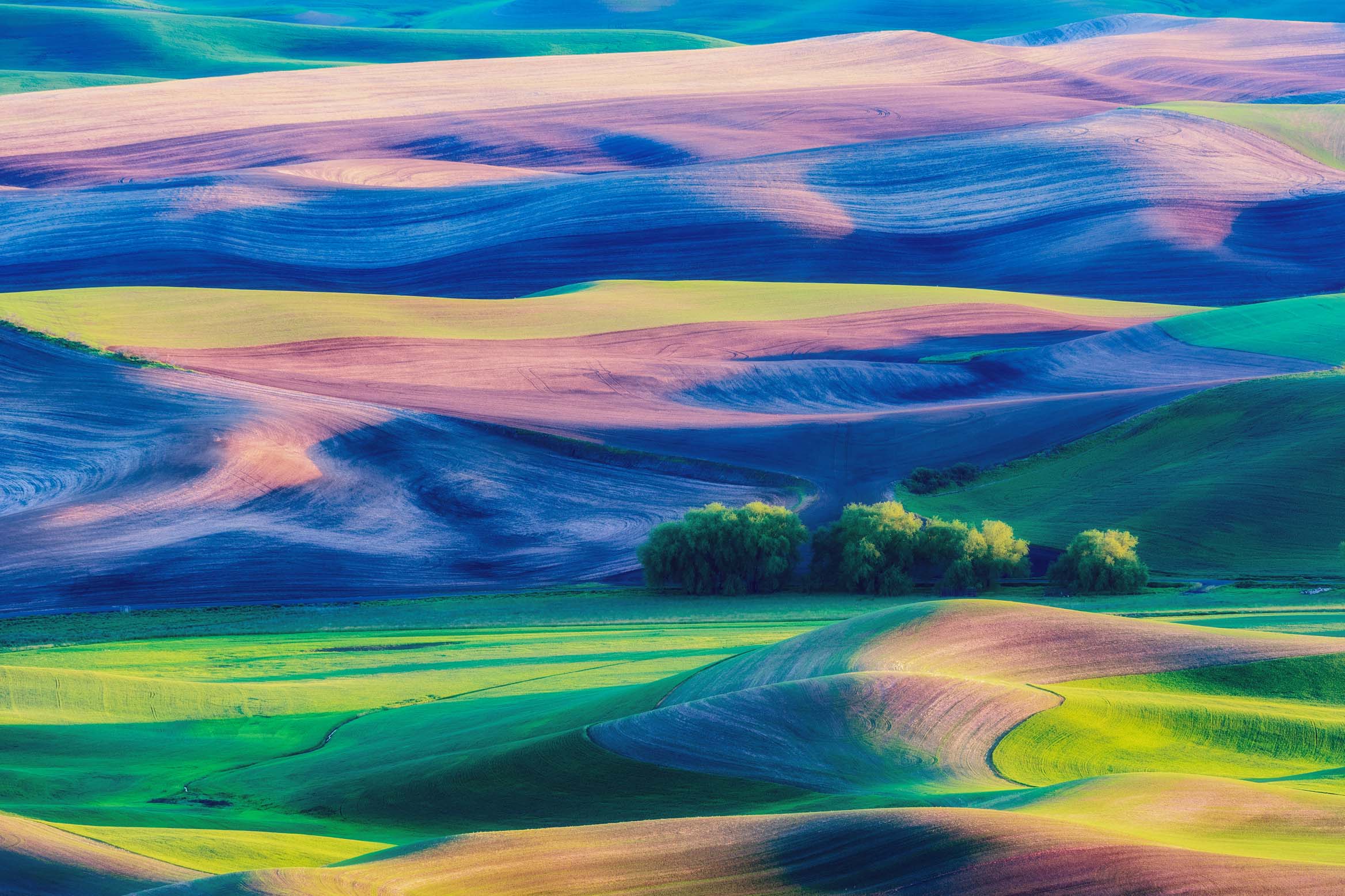 04x06_palouse-pastels_landscape.jpg