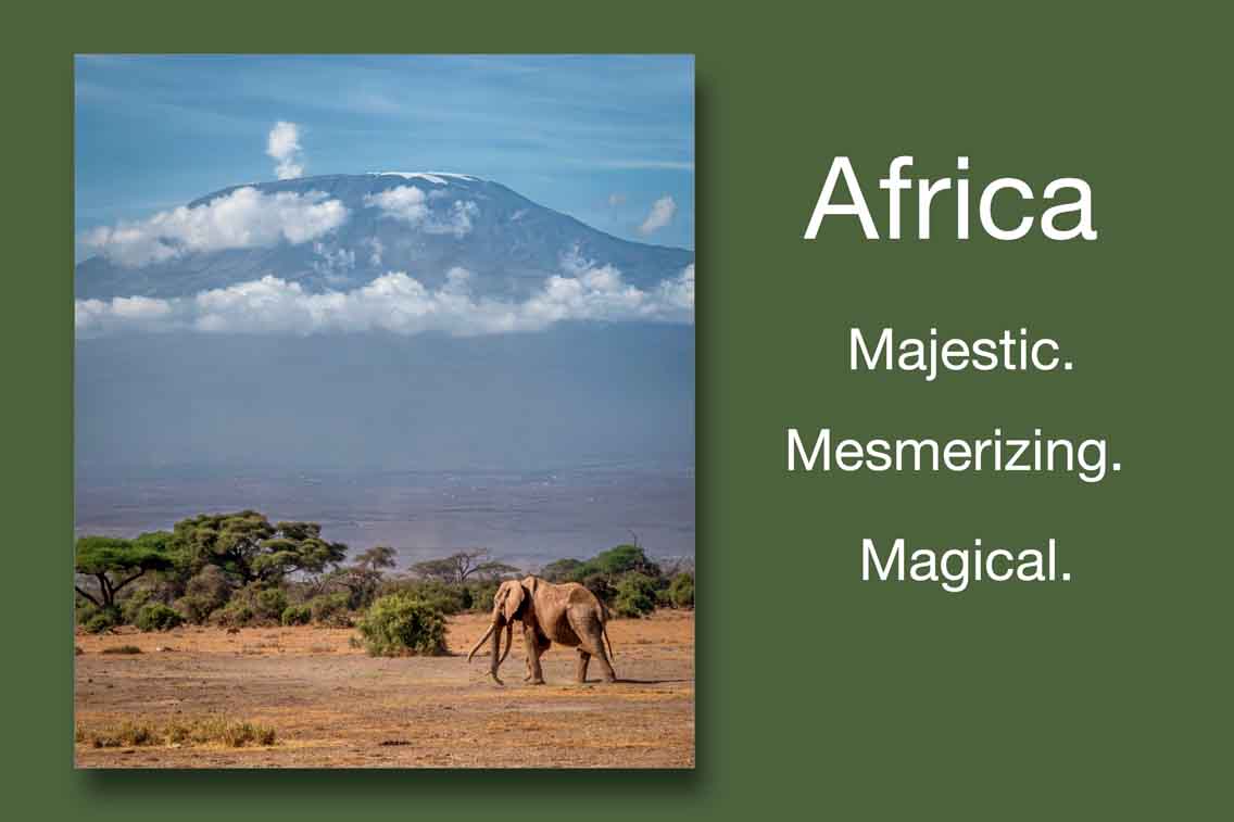 ebook_africa_landscape_thumbnail.jpg