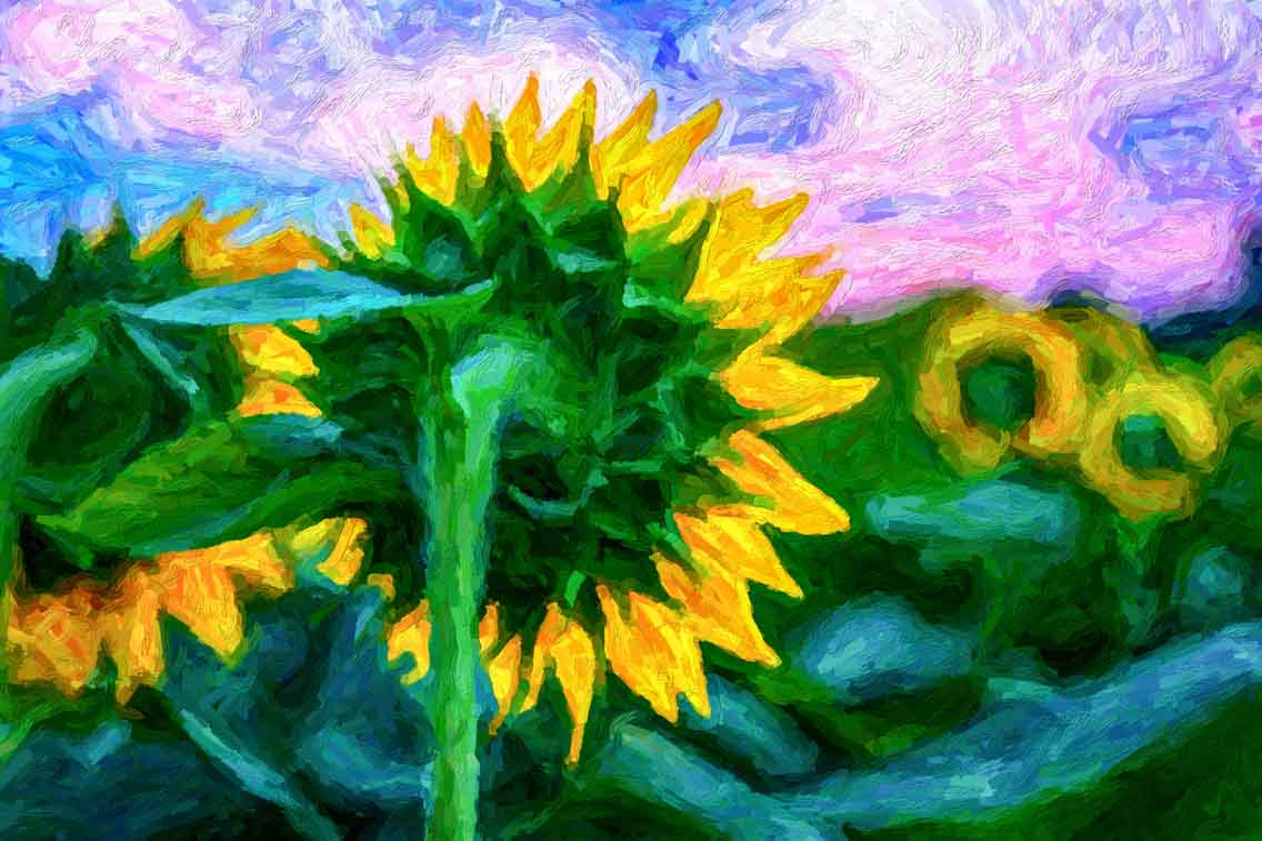 04x06_van-gogh-sunflower_landscape_thumbnail.jpg